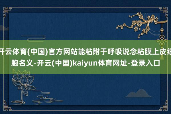 开云体育(中国)官方网站能粘附于呼吸说念粘膜上皮细胞名义-开云(中国)kaiyun体育网址-登录入口