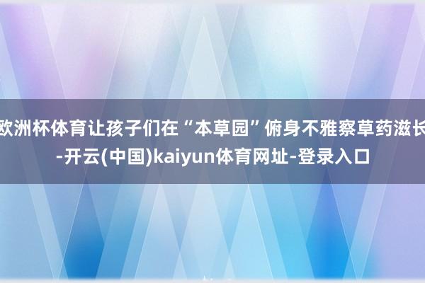 欧洲杯体育让孩子们在“本草园”俯身不雅察草药滋长-开云(中国)kaiyun体育网址-登录入口