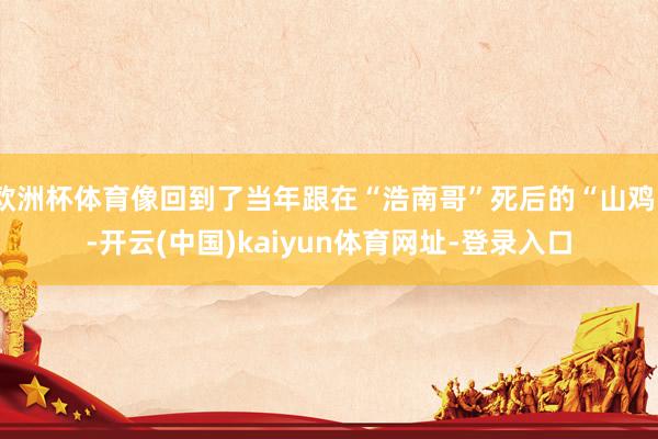 欧洲杯体育像回到了当年跟在“浩南哥”死后的“山鸡”-开云(中国)kaiyun体育网址-登录入口