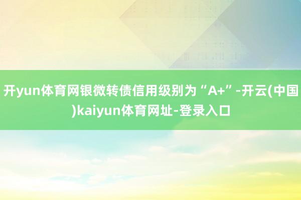 开yun体育网银微转债信用级别为“A+”-开云(中国)kaiyun体育网址-登录入口