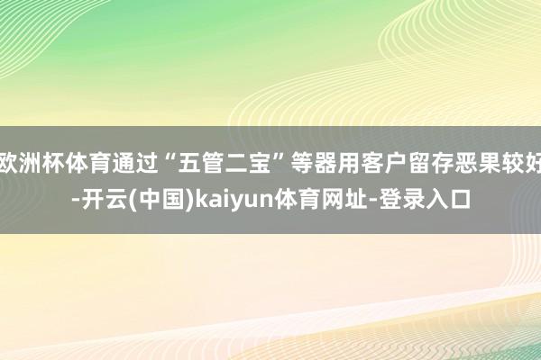 欧洲杯体育通过“五管二宝”等器用客户留存恶果较好-开云(中国)kaiyun体育网址-登录入口
