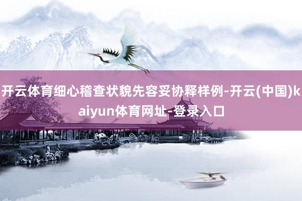 开云体育细心稽查状貌先容妥协释样例-开云(中国)kaiyun体育网址-登录入口