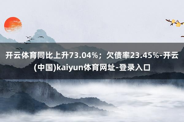 开云体育同比上升73.04%；欠债率23.45%-开云(中国)kaiyun体育网址-登录入口