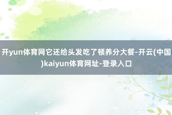 开yun体育网它还给头发吃了顿养分大餐-开云(中国)kaiyun体育网址-登录入口