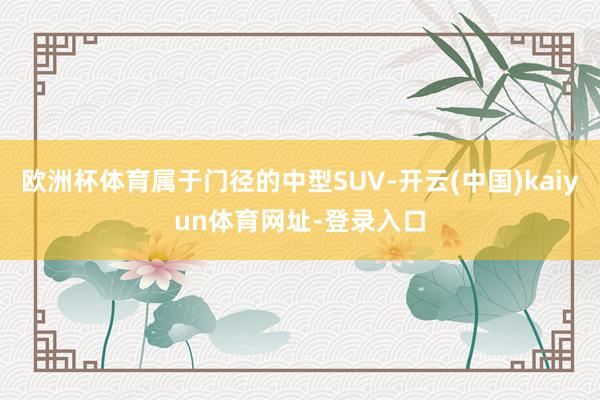 欧洲杯体育属于门径的中型SUV-开云(中国)kaiyun体育网址-登录入口