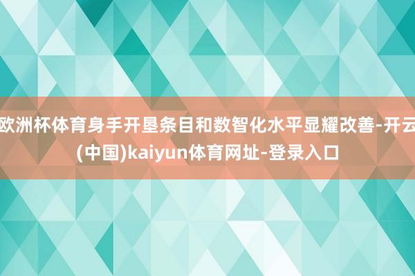 欧洲杯体育身手开垦条目和数智化水平显耀改善-开云(中国)kaiyun体育网址-登录入口