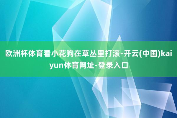 欧洲杯体育看小花狗在草丛里打滚-开云(中国)kaiyun体育网址-登录入口