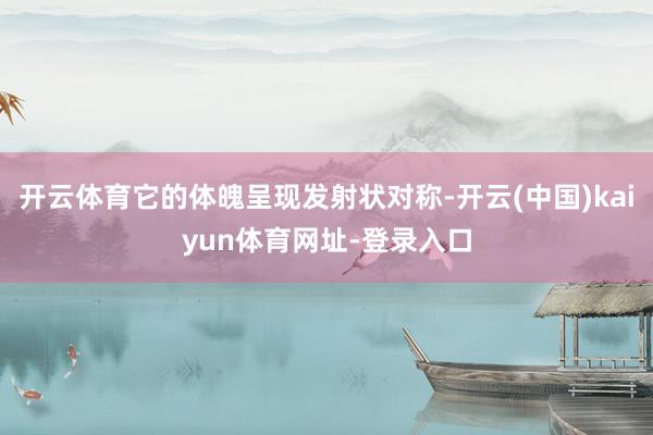 开云体育它的体魄呈现发射状对称-开云(中国)kaiyun体育网址-登录入口