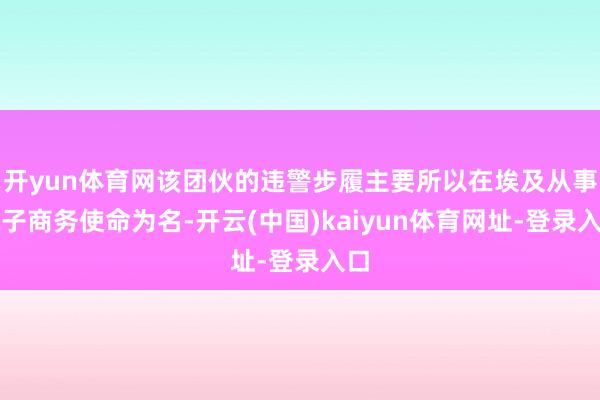 开yun体育网该团伙的违警步履主要所以在埃及从事电子商务使命为名-开云(中国)kaiyun体育网址-登录入口