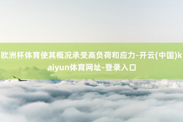 欧洲杯体育使其概况承受高负荷和应力-开云(中国)kaiyun体育网址-登录入口