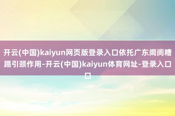开云(中国)kaiyun网页版登录入口依托广东阛阓糟蹋引颈作用-开云(中国)kaiyun体育网址-登录入口
