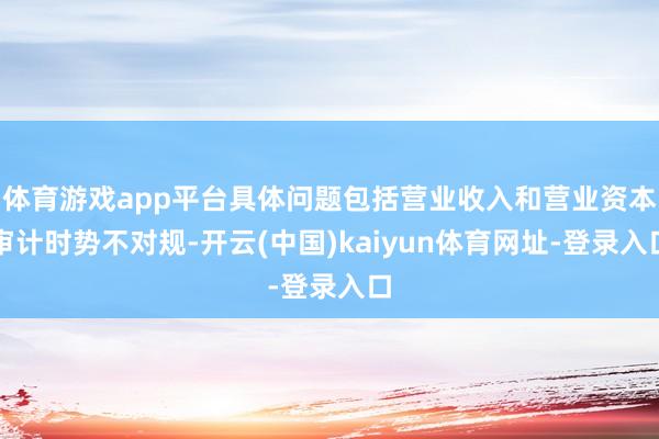体育游戏app平台具体问题包括营业收入和营业资本审计时势不对规-开云(中国)kaiyun体育网址-登录入口