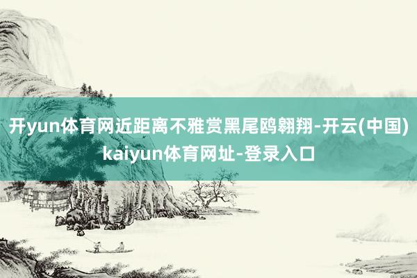 开yun体育网近距离不雅赏黑尾鸥翱翔-开云(中国)kaiyun体育网址-登录入口