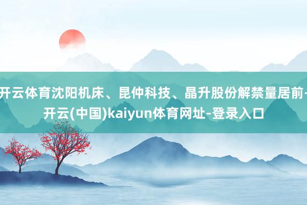 开云体育沈阳机床、昆仲科技、晶升股份解禁量居前-开云(中国)kaiyun体育网址-登录入口