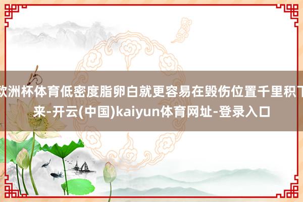欧洲杯体育低密度脂卵白就更容易在毁伤位置千里积下来-开云(中国)kaiyun体育网址-登录入口