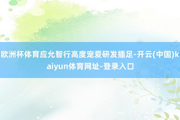 欧洲杯体育应允智行高度宠爱研发插足-开云(中国)kaiyun体育网址-登录入口