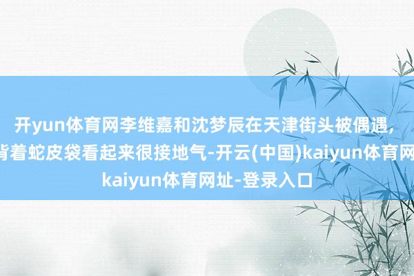 开yun体育网李维嘉和沈梦辰在天津街头被偶遇, 两东说念主背着蛇皮袋看起来很接地气-开云(中国)kaiyun体育网址-登录入口